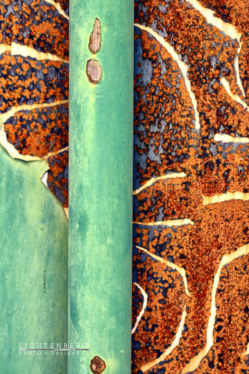 Fassade lindgrün & rostbraun | Front brightly green & rust-brown