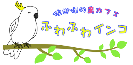 tomo yamashita design studio jimdo