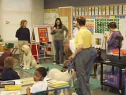 Therapy Dogs in Classrooms