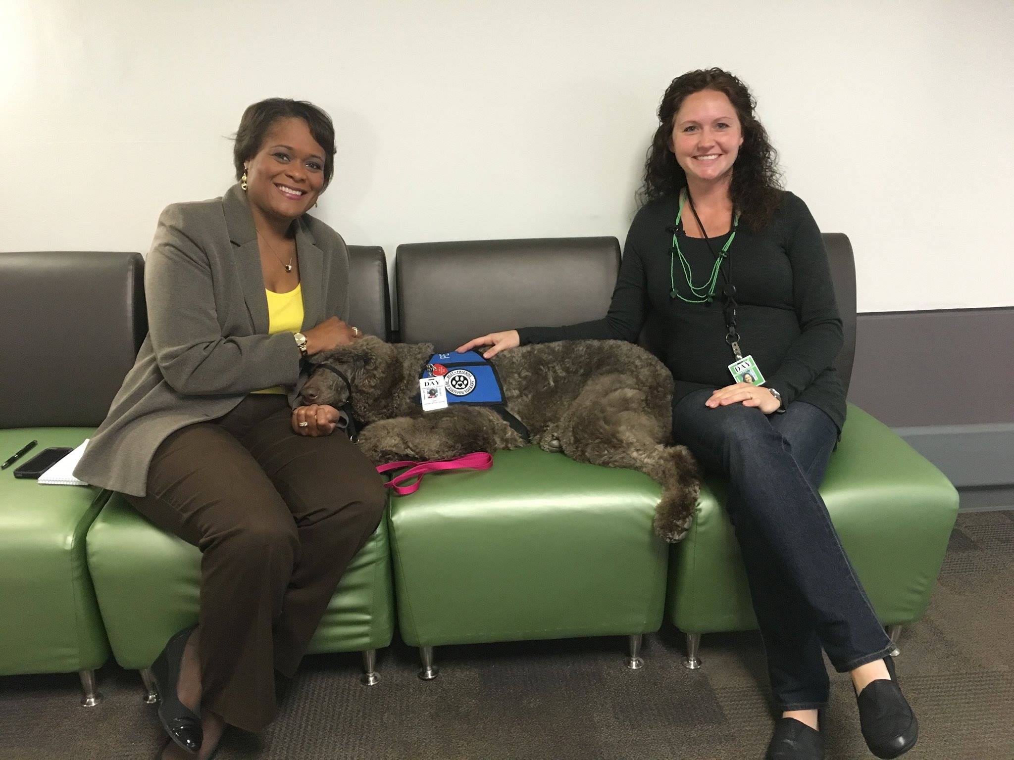 2016 News and Events Best Friends Pet Assisted Therapy