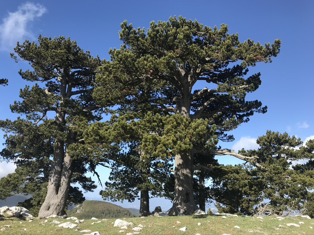 Nationalpark Polino