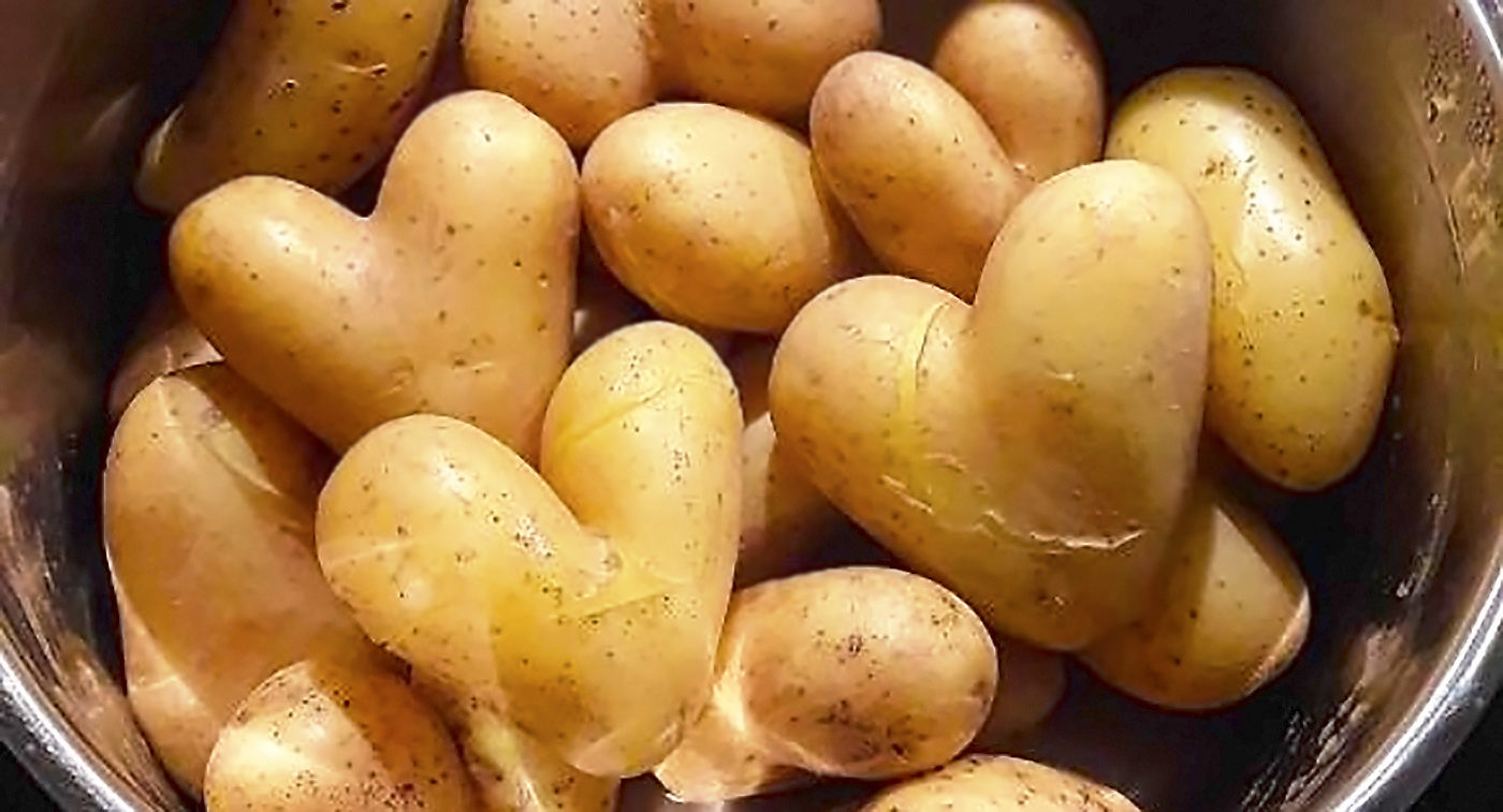 Unsere schönsten KartoffelRezepte kartoffelhofstrucks Webseite!