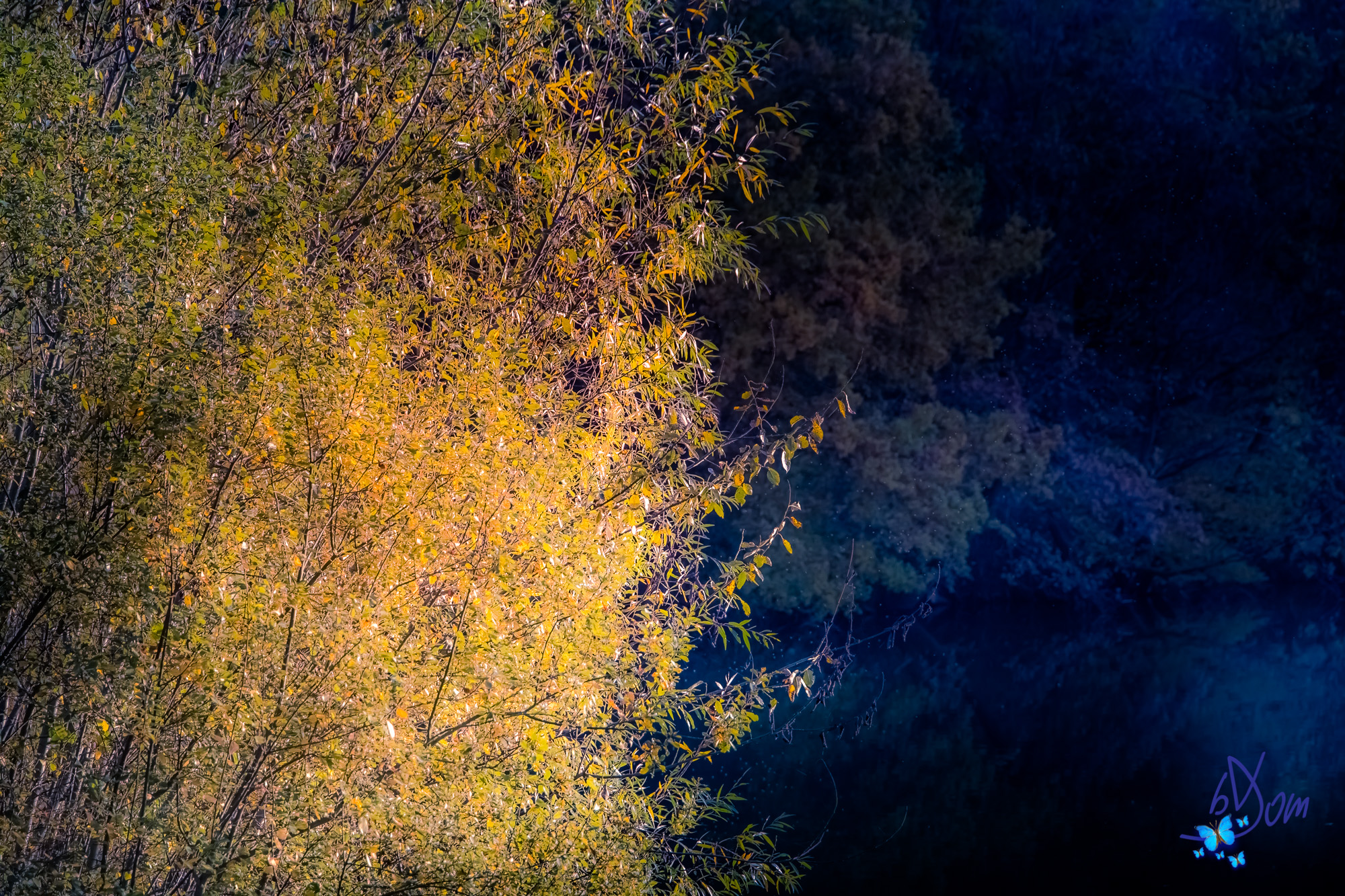 Automne sur Enghien