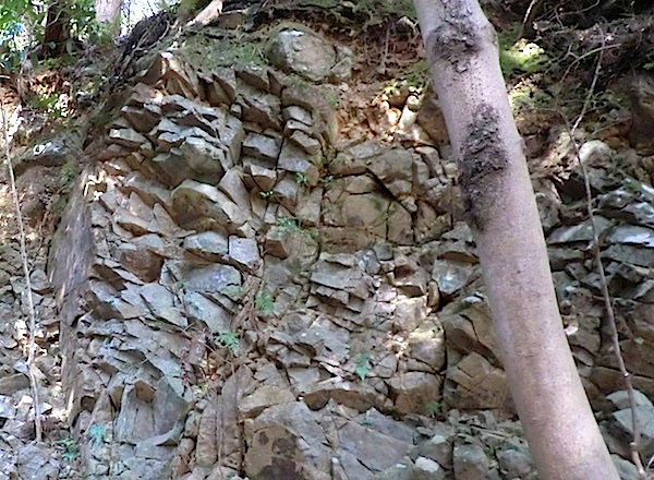 細野高原〜大池　　露頭