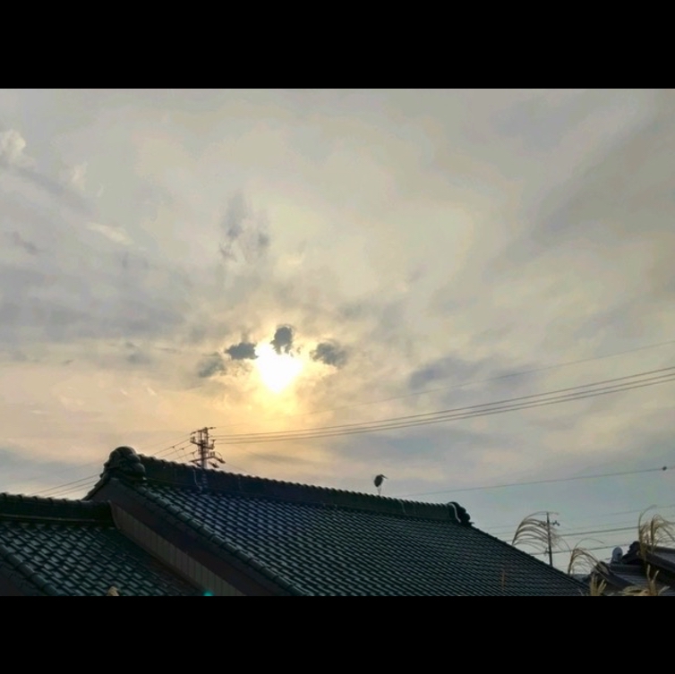 屋根にコサギ