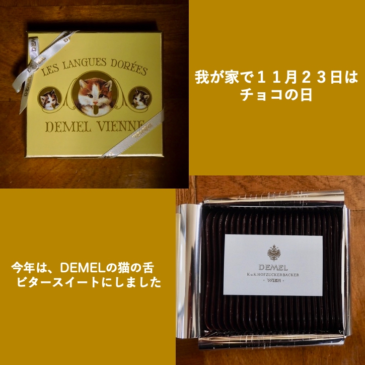 今日はチョコの日