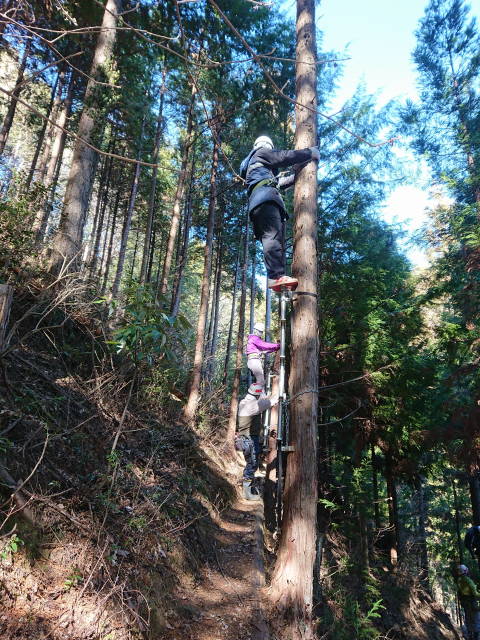ワンタッチラダーで木登り練習