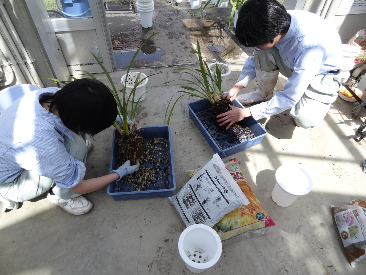 増田高等学校画像