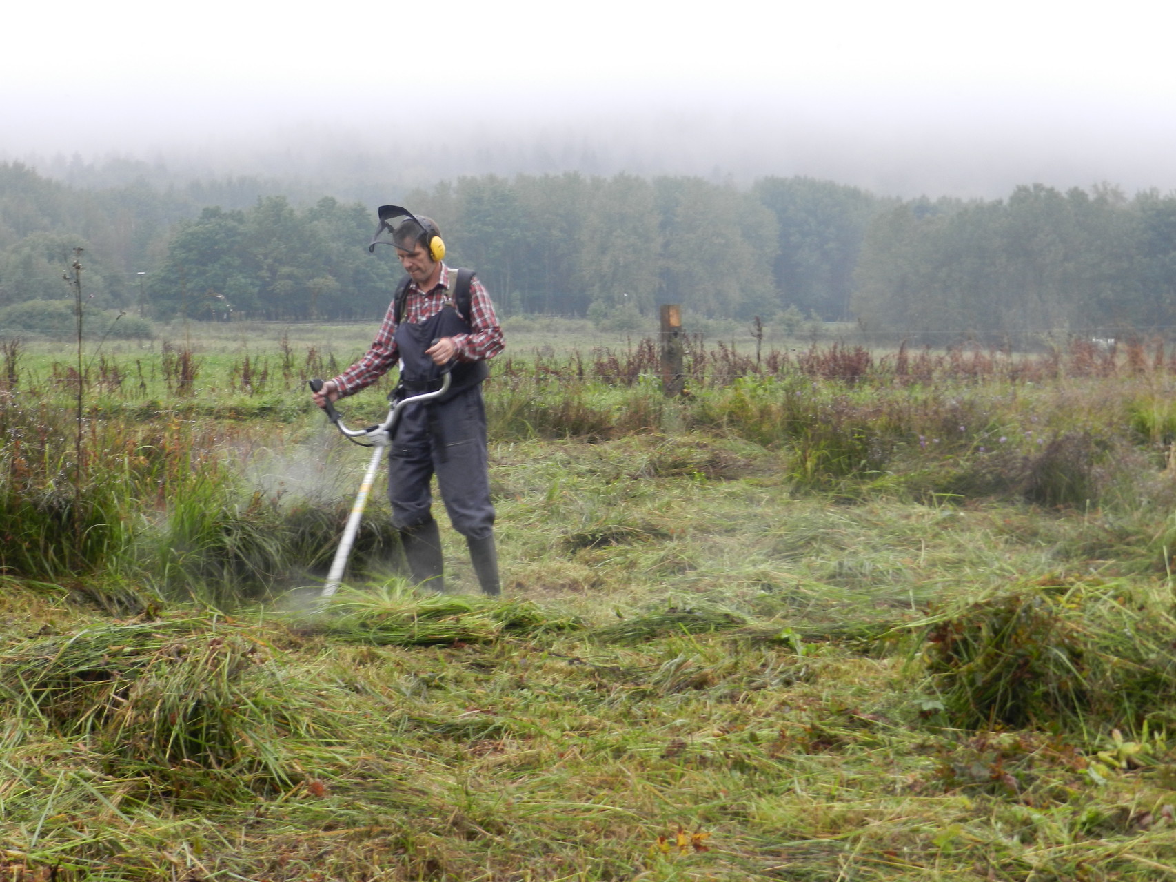 Auf der Schlehenpfütze bei Ohrdruf Foto: S. Löw