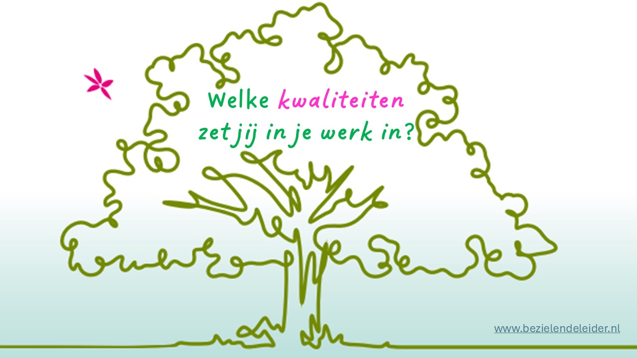 Welke kwaliteiten zet je in?