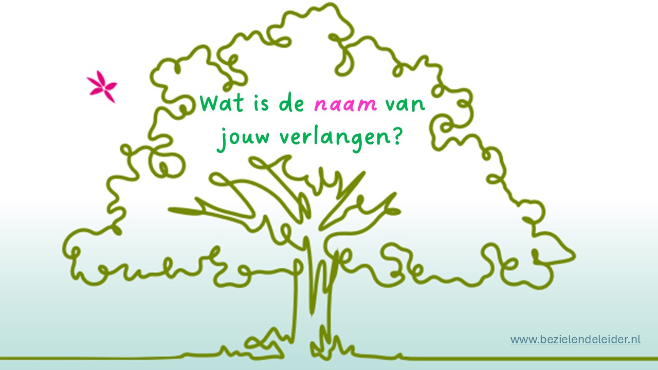 Welke naam geef jij jouw verlangen?