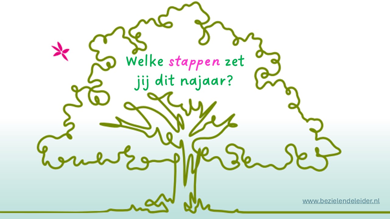 Welke stappen zet jij nu?