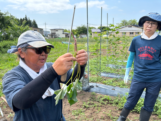 農ある暮らし倶楽部 第2回指導日活動の様子