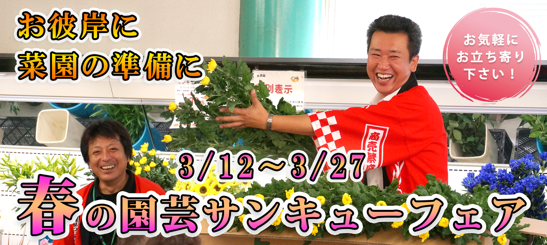 春の園芸サンキューフェア - キクチ種苗株式会社 春の園芸サンキューフェア - キクチ種苗株式会社