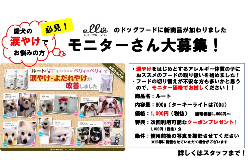 涙やけでお悩みの方必見 フードモニター募集します トリミングサロン エル