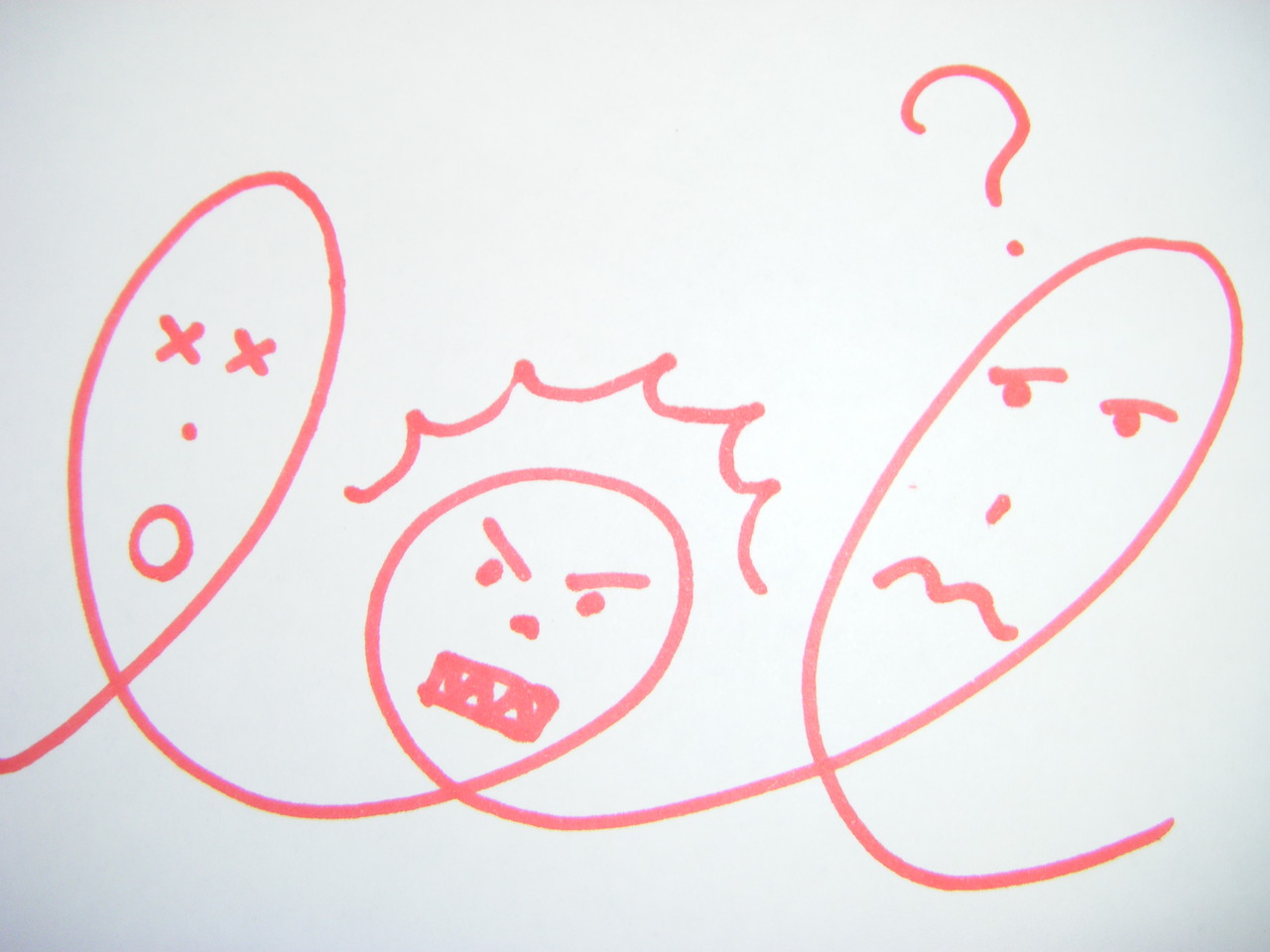行動障害ってなに Behaviorsupport ページ