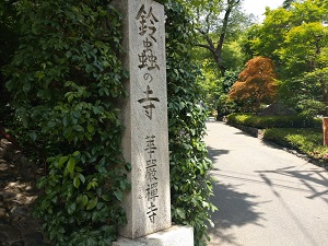 鈴虫寺に登っていきます。