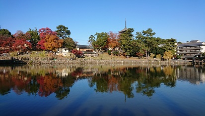 猿沢の池。紅葉が水面に写って綺麗。