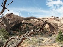 Manti La Sal Berge (Utah)