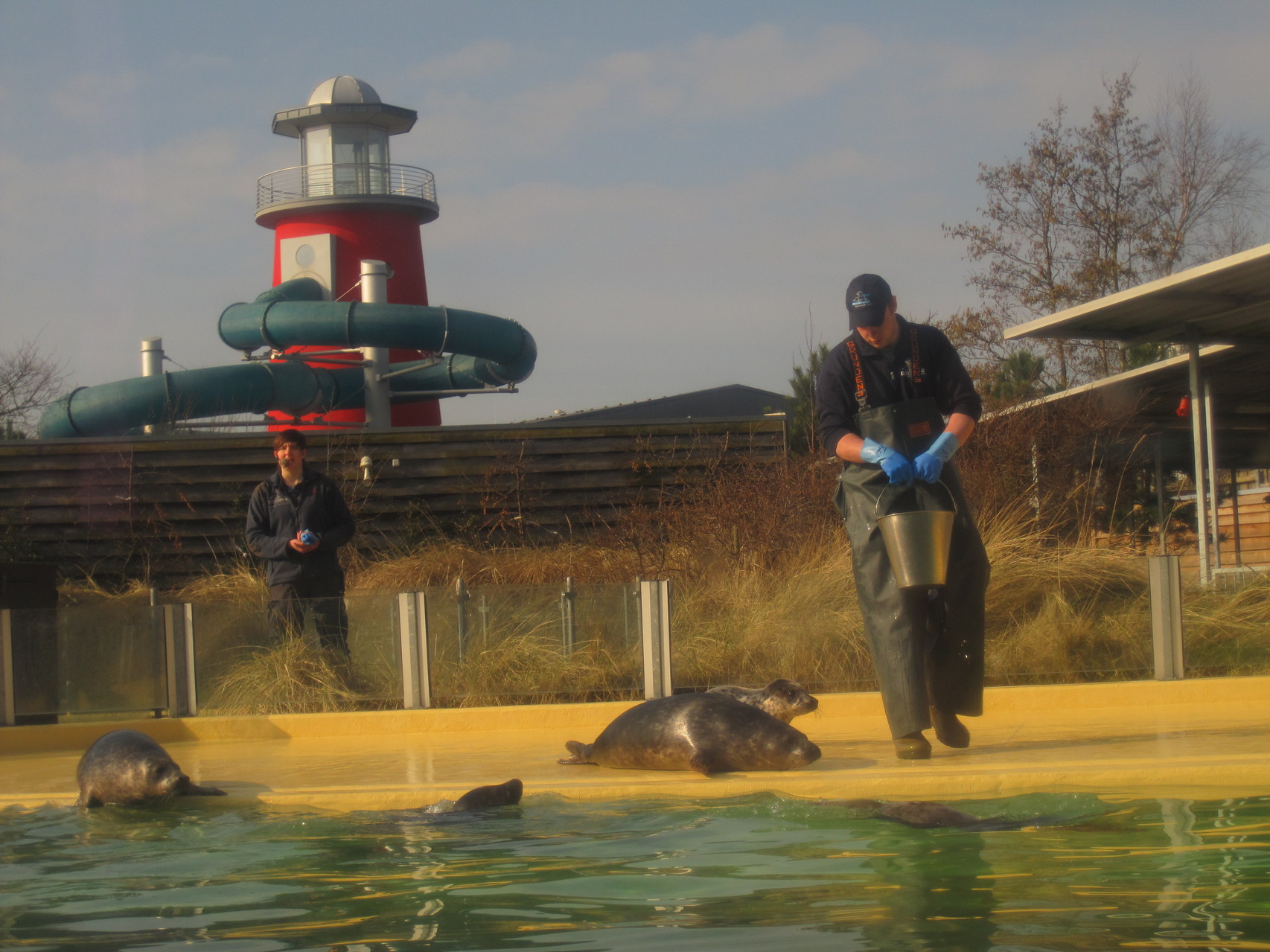 Fütterung in der Seehundstation Norddeich. Im Hintergrund: Wasserrutsche des Oceanwave-Hallenbads