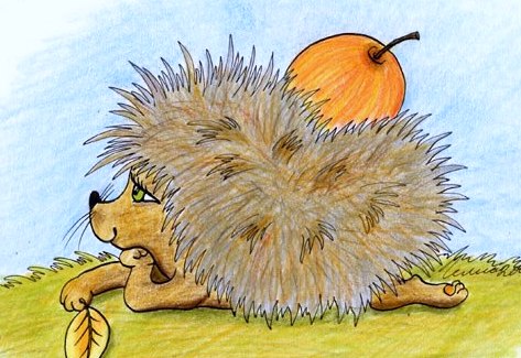 Myths, legends and facts about hedgehogs! Мифы,легенды и факты о ежах!
