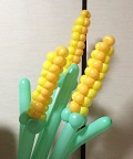 #0127 トウモロコシ corn