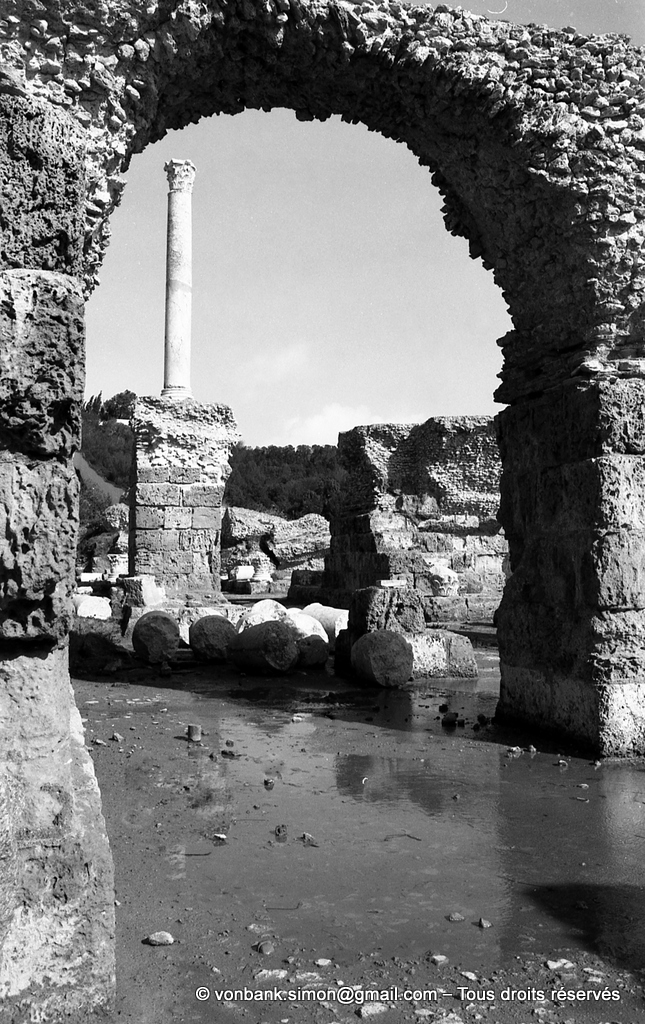 [NB016-1981-02] Carthage (Carthago) : Thermes d'Antonin - Colonne relevée du frigidarium vue depuis les sous-sols