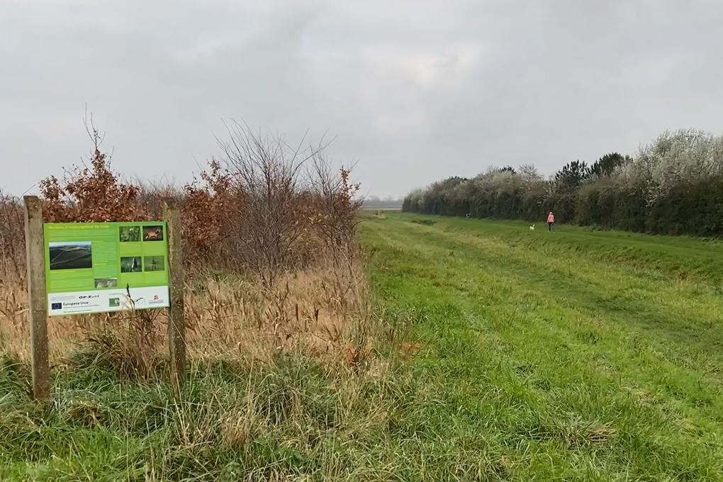 Hundeauslauf des Campingplatzes