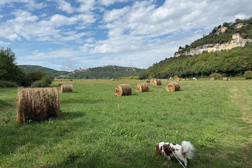 Gassirunden deluxe rund um den Campingplatz