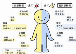 12月のお知らせ 自律神経を整えて心身共に健康体に! - ふたば 12月のお知らせ 自律神経を整えて心身共に健康体に! - ふたば