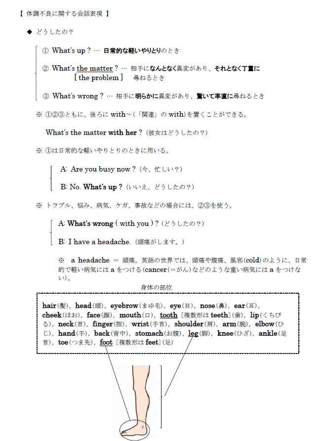 教材のサンプル画像