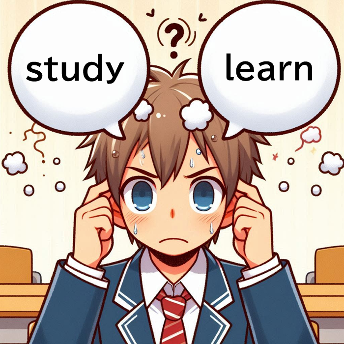 studyとlearnの違いについて