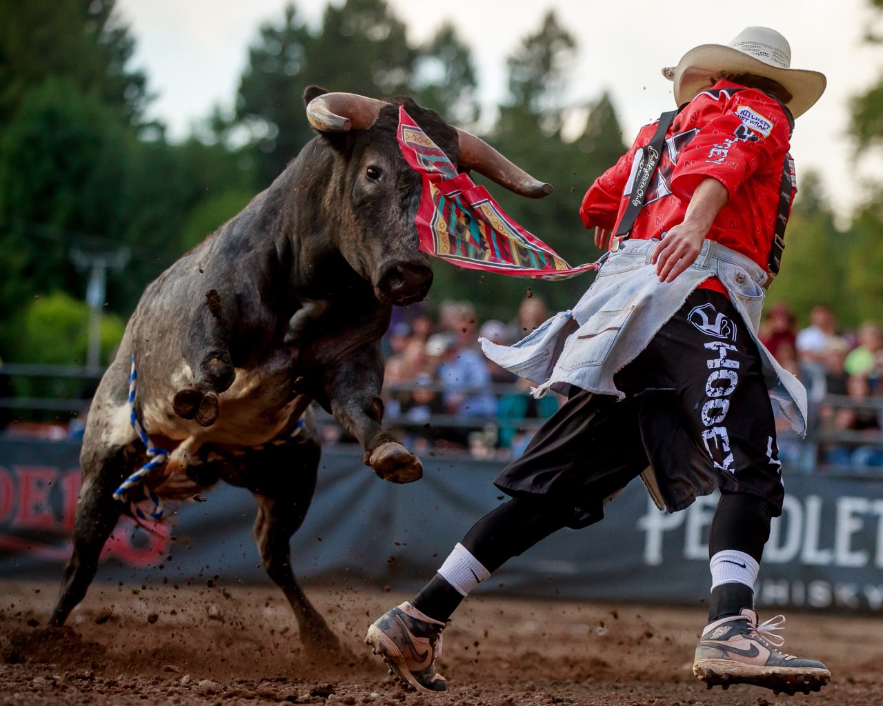 Bullfighters Only