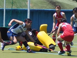 4Q(1-2) 