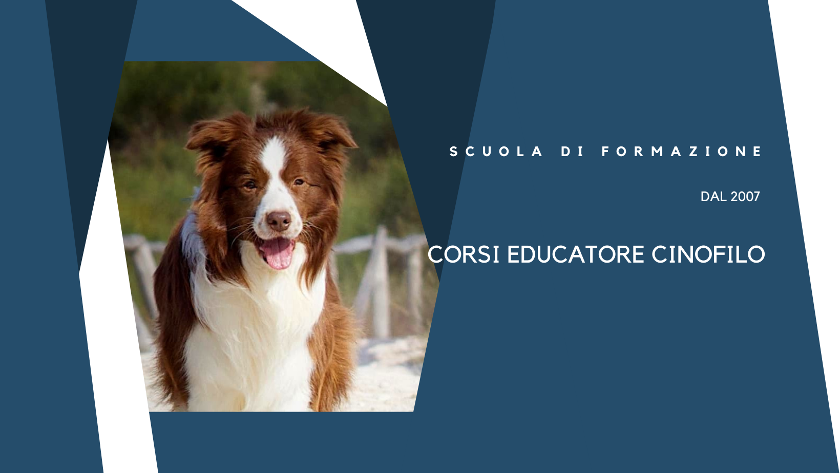 Corsi Educatore Addestratore Cinofilo a Bergamo, Brescia, Milano, Crema, Cremona e provincia Corsi Educatore Addestratore Cinofilo a Bergamo, Brescia, Milano, Crema, Cremona e provincia
