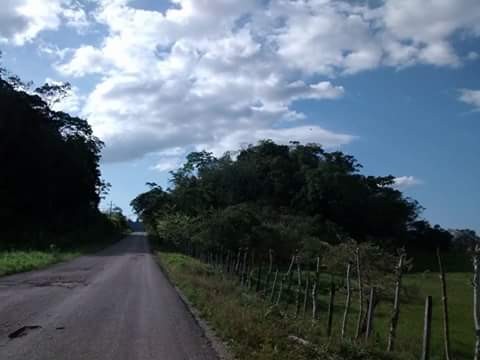 Fotografía de Silvia Rosales Foster