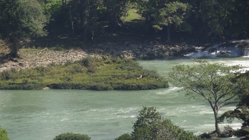 Fotografía, Susy Alpuche