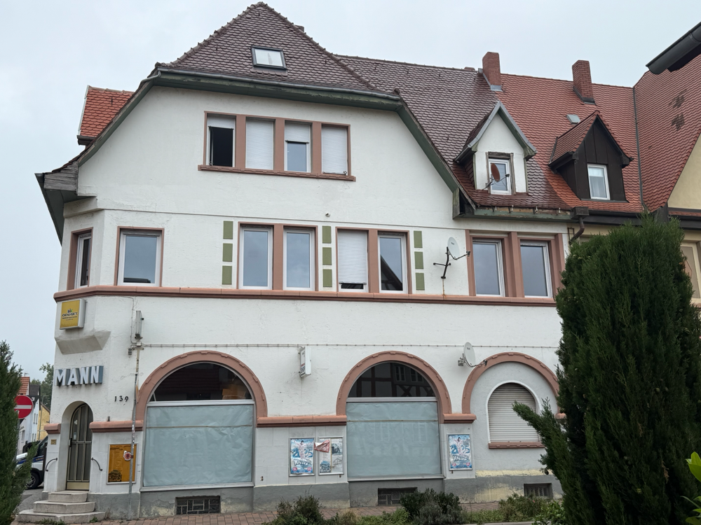 Dach Sanierung + Beschichtung  (Braun)