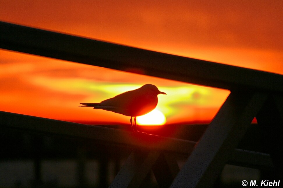 Sonnenaufgang Sassnitz 