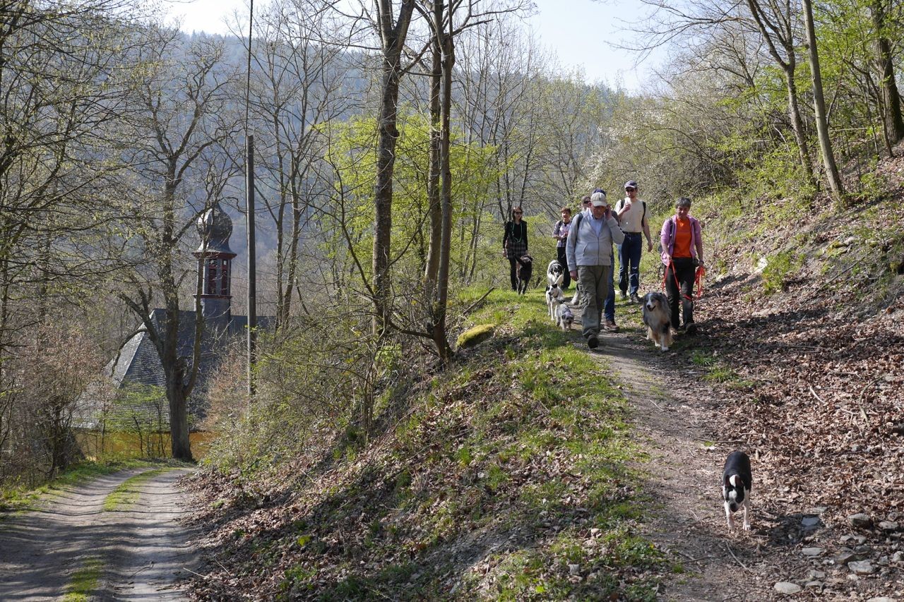 Infos TrekkingDogs, Wandern mit Hund