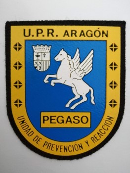 UPR PEGASO CNP 
