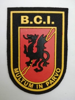 Brigada Central de intervención Policía Foral