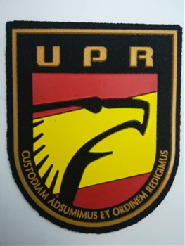 UPR CNP