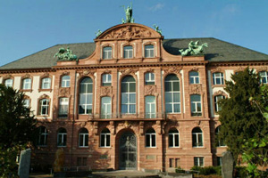 Sanierung Senckenberg Museum Frankfurt 