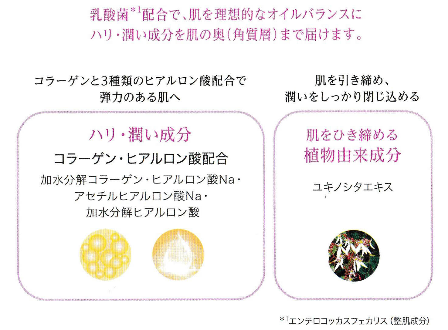 ラポーテチサ チホ 漢方専門 Jps漢方取扱店 福岡市 ラポーテチサ チホ 漢方専門 Jps漢方取扱店 福岡市