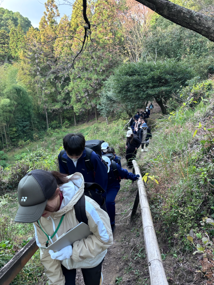 紫陽花園を登ります。
