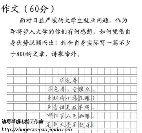 诸葛草帽电脑工作室|高考零分作文