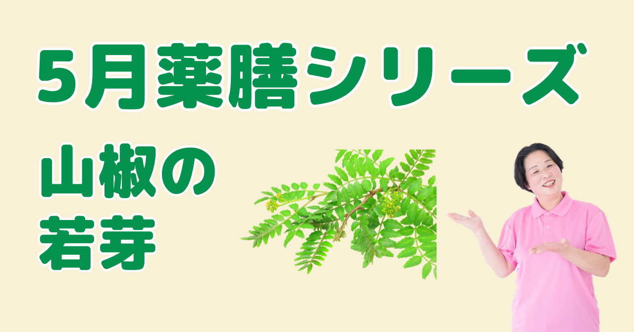【5月の薬膳】木の芽（山椒の若芽）｜香りで気を巡らせ心を整える春の薬膳