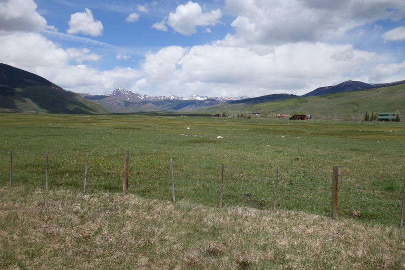 Wiese mit Löwenzahn in der Nähe von Crested Butte, einer von zahlreichen Skiorte