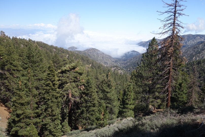 Durch die Wälder der San Gabriel mountains mit LA unter den Wolken